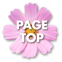 PageTop